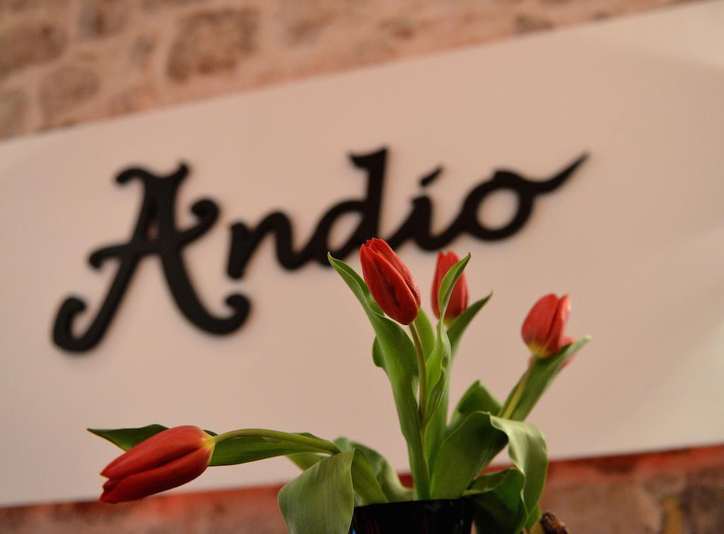 Bed&Breakfast Andio Dubrovnik Exterior photo